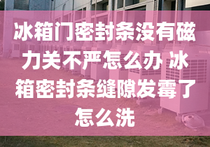 冰箱门密封条没有磁力关不严怎么办 冰箱密封条缝隙发霉了怎么洗