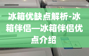 冰箱优缺点解析-冰箱伴侣—冰箱伴侣优点介绍 