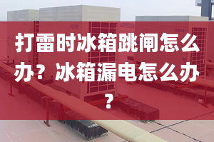 打雷时冰箱跳闸怎么办？冰箱漏电怎么办？