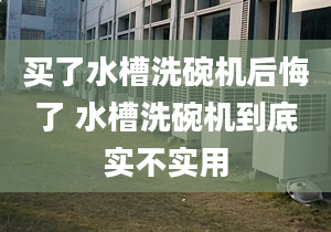 买了水槽洗碗机后悔了 水槽洗碗机到底实不实用