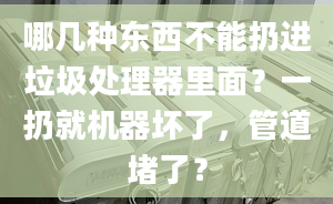 哪几种东西不能扔进垃圾处理器里面？一扔就机器坏了，管道堵了？