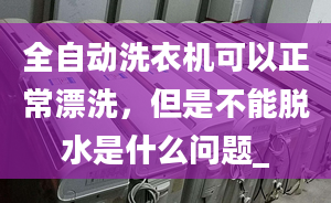 全自动洗衣机可以正常漂洗，但是不能脱水是什么问题_