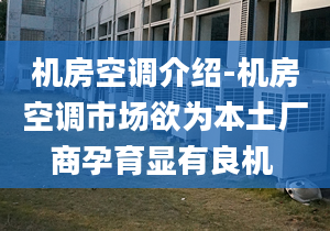 机房空调介绍-机房空调市场欲为本土厂商孕育显有良机 