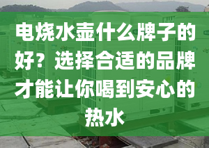 电烧水壶什么牌子的好？选择合适的品牌才能让你喝到安心的热水