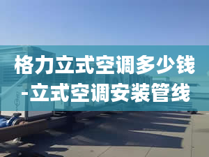 格力立式空调多少钱-立式空调安装管线