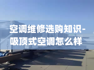 空调维修选购知识-吸顶式空调怎么样 