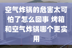 空气炸锅的危害太可怕了怎么回事 烤箱和空气炸锅哪个更实用