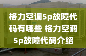 格力空调5p故障代码有哪些 格力空调5p故障代码介绍