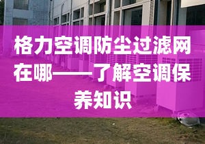 格力空调防尘过滤网在哪——了解空调保养知识