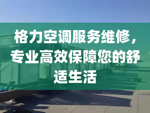 格力空调服务维修，专业高效保障您的舒适生活