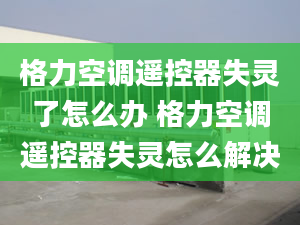 格力空调遥控器失灵了怎么办 格力空调遥控器失灵怎么解决