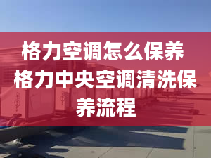 格力空调怎么保养 格力中央空调清洗保养流程