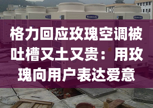 格力回应玫瑰空调被吐槽又土又贵：用玫瑰向用户表达爱意