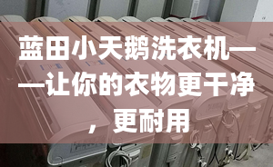 蓝田小天鹅洗衣机——让你的衣物更干净，更耐用